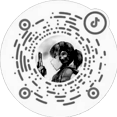 上海挚有建筑机械有限公司